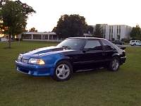 Blue Fox Mustang