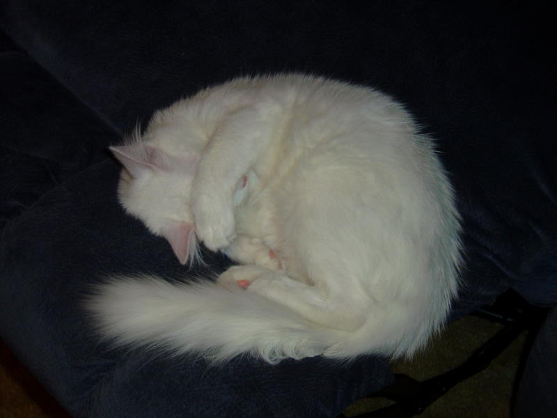 Powder Sleep