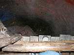 foottomsawyercavemk.jpg